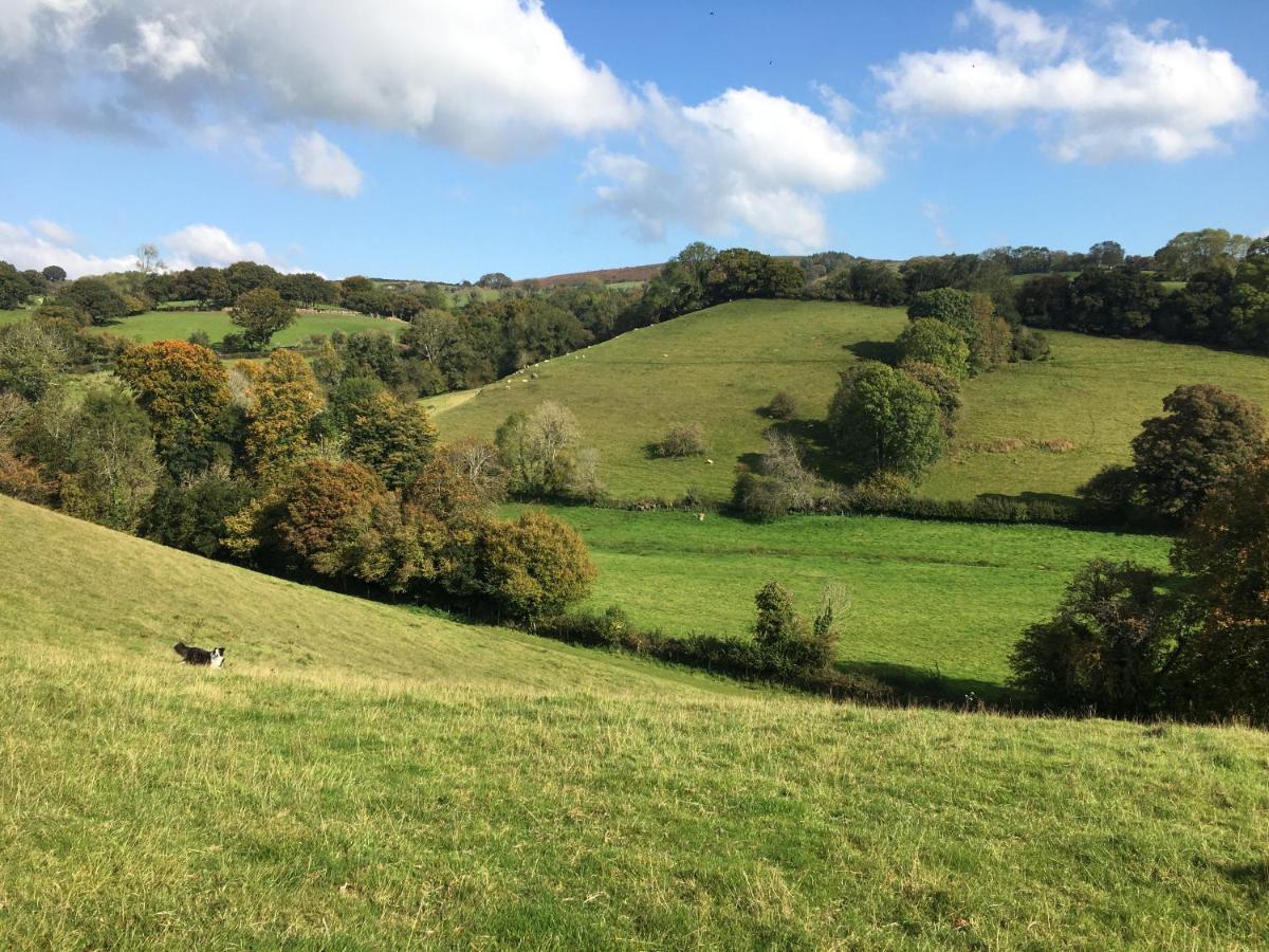 Cookshayes Country Guest House Moretonhampstead Bagian luar foto