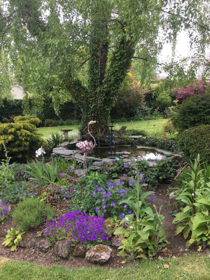 Cookshayes Country Guest House Moretonhampstead Bagian luar foto